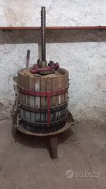 Torchio uva