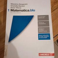 libro Matematica.blu 1