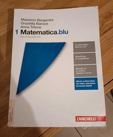 libro Matematica.blu 1