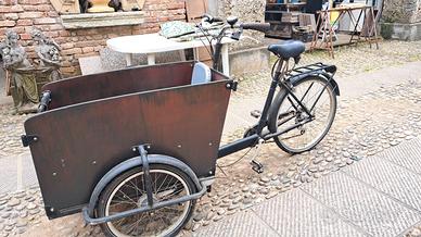 Cargobike-Babboe