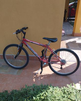 Bicicletta 