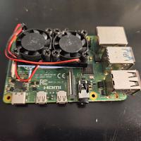 Rasberry Pi 4B 2Gb FUNZIONANTE