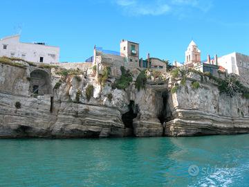 VIESTE, appartamento 30 Agosto - 6 Settembre