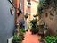 Immagine 12