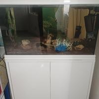 acquario 150 lt completo di tutto 