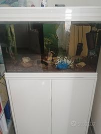 acquario 150 lt completo di tutto 