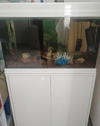 acquario 150 lt completo di tutto 