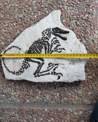Copia di Dinosauroi su vera pietra.