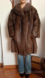 Pelliccia vera di castoro selvatico