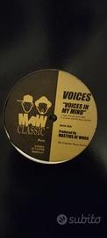 vinile house  Maw. Voices in my mind