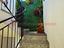 Immagine 14