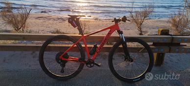 ORBEA tg L mtb 29 2022