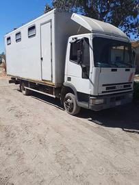 Autocarro per trasporto cavalli