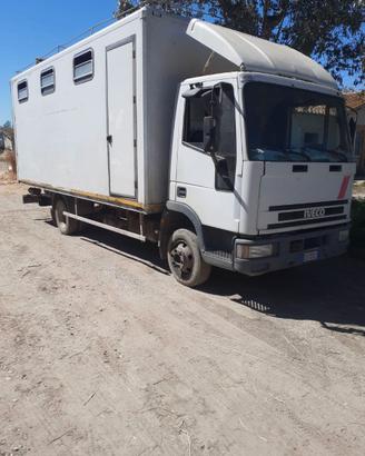 Autocarro per trasporto cavalli