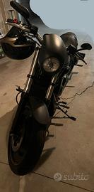 harley davidson