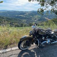 Harley davidson Springer classic