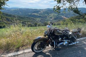 Harley davidson Springer classic