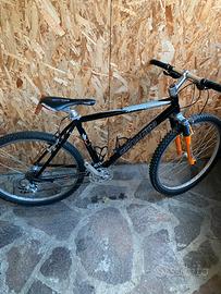 Mtb vintage Specialized