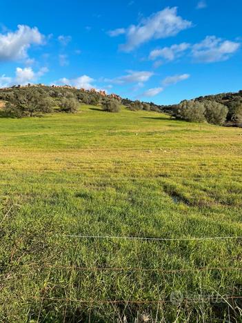 Terreno agricolo