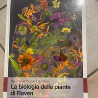 Libro Biologia vegetale/Botanica