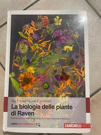 Libro Biologia vegetale/Botanica