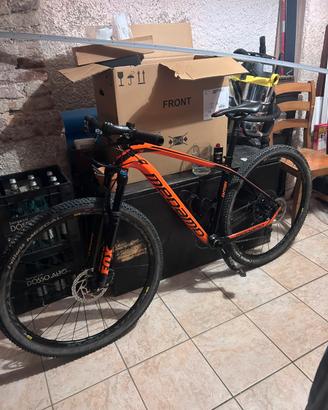 Mtb 29