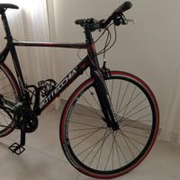 BOTTECCHIA DUELLO REPARTO CORSE ( IBRIDA )