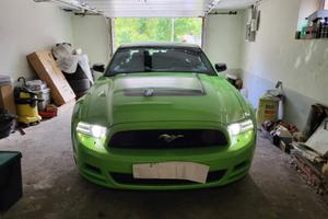 Mustang hulk edition