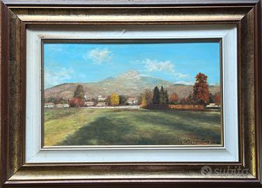 Dipinto originale G Stringhetto 1982 con cornice