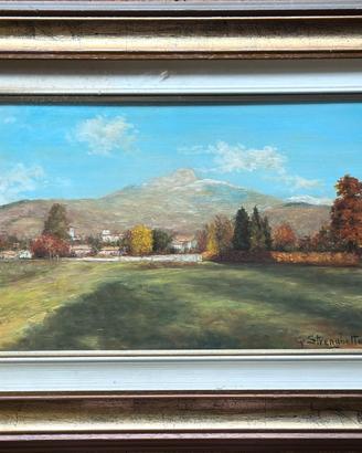 Dipinto originale G Stringhetto 1982 con cornice