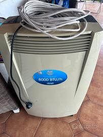 Climatizzatore pinguino delonghi