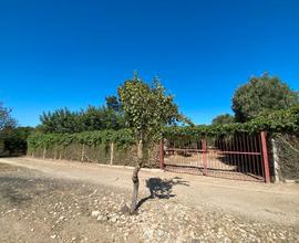 Terreno Agricolo Località Sa Mandara