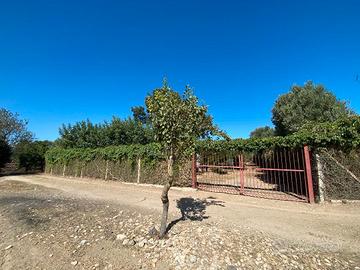 Terreno Agricolo Località Sa Mandara