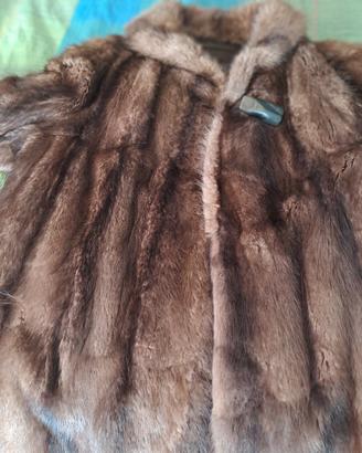 pelliccia in Rat Mousqut