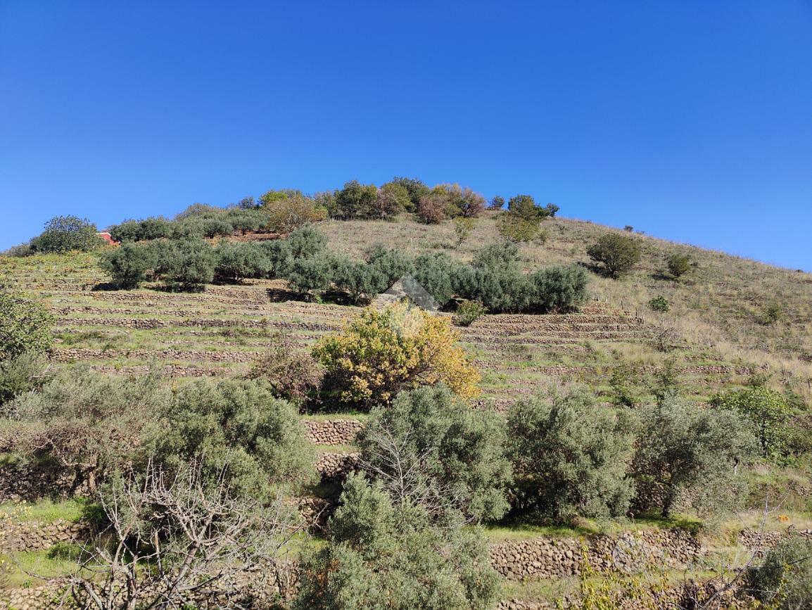 TER. AGRICOLO A LINGUAGLOSSA - Vista 4