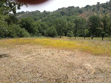 Terreno a Rende
