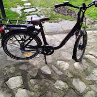 Bicicletta wayscarl