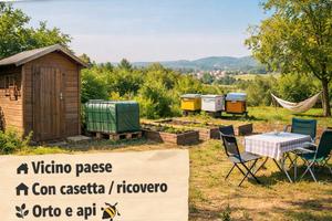 Terreno agricolo con piccolo rustico