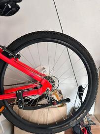 bicicletta ragazzo