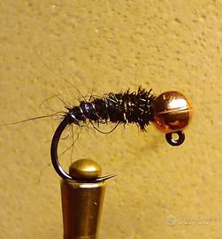 5 ninfe BlackPeacock