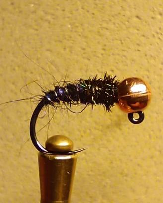5 ninfe BlackPeacock