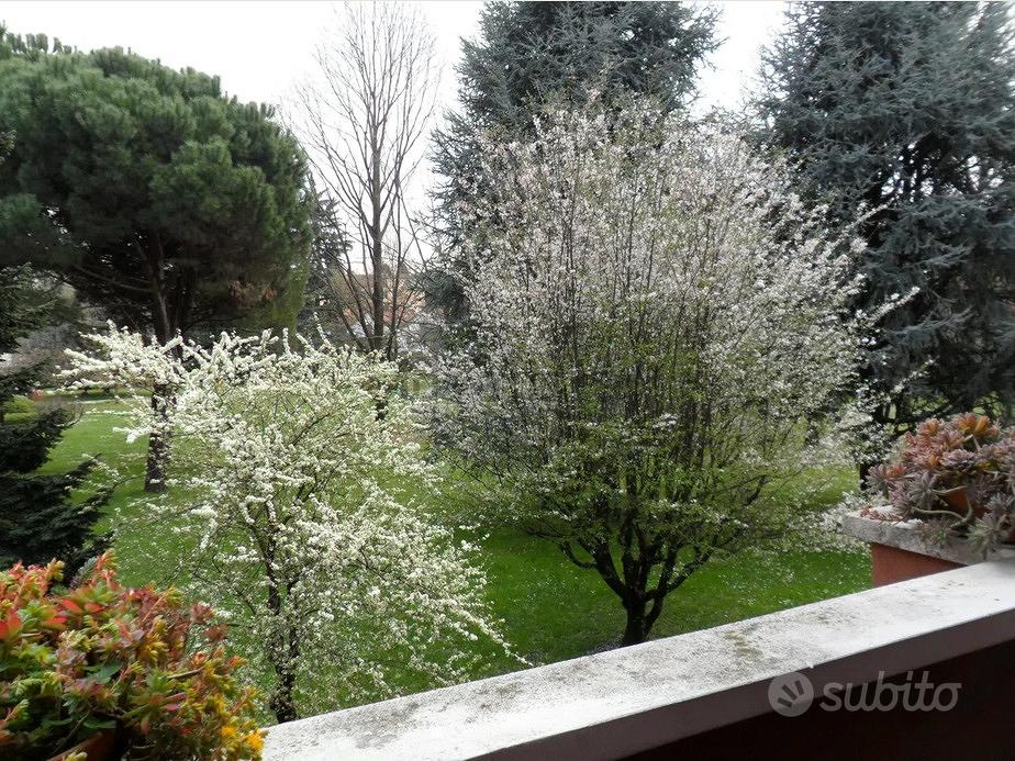 Appartamento – Verderio, Lecco - Vista 5
