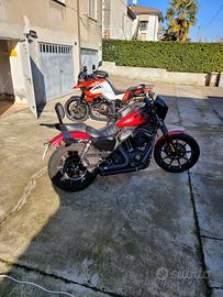 Harley 883