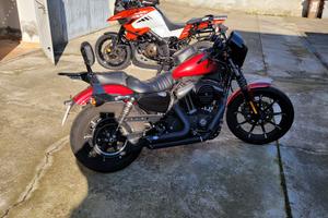 Harley 883