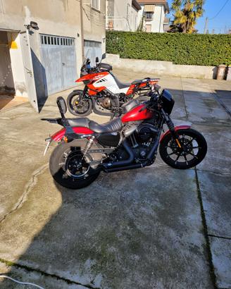 Harley 883