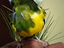 Immagine 3