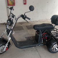 Scooter elettrico Triride 2000W