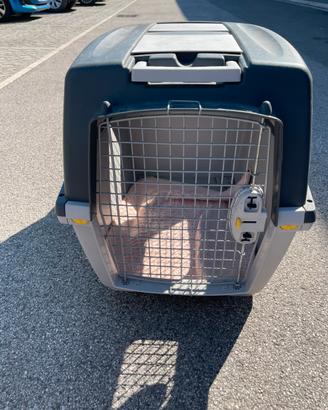 Trasportino cane