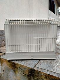 Gabbia, gabbietta per ESPOSIZIONI