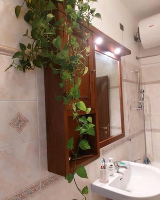 specchiera per bagno +  mobietto laterale compreso